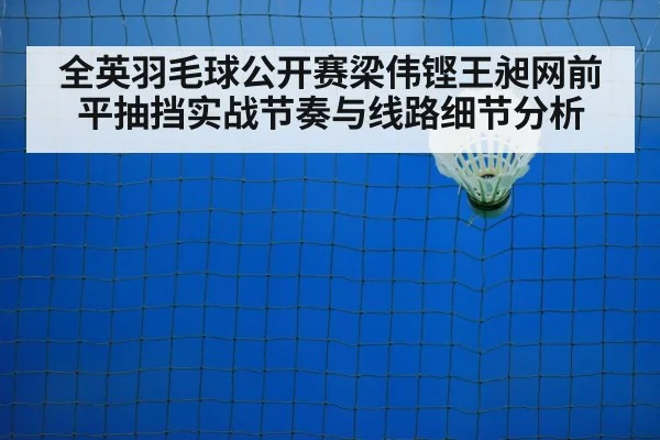 badminton net shot